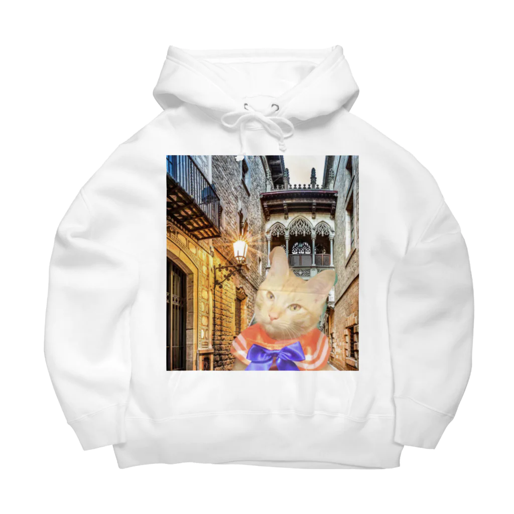 SweetCatMagicのシフォン旅に出る Big Hoodie