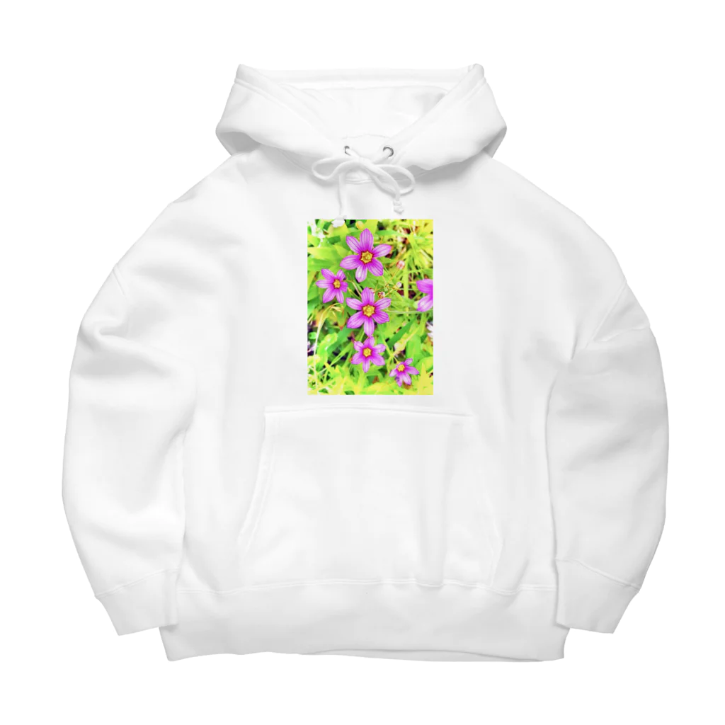 LalaHangeulの道端の花　ニワゼキショウ(カラフル) Big Hoodie