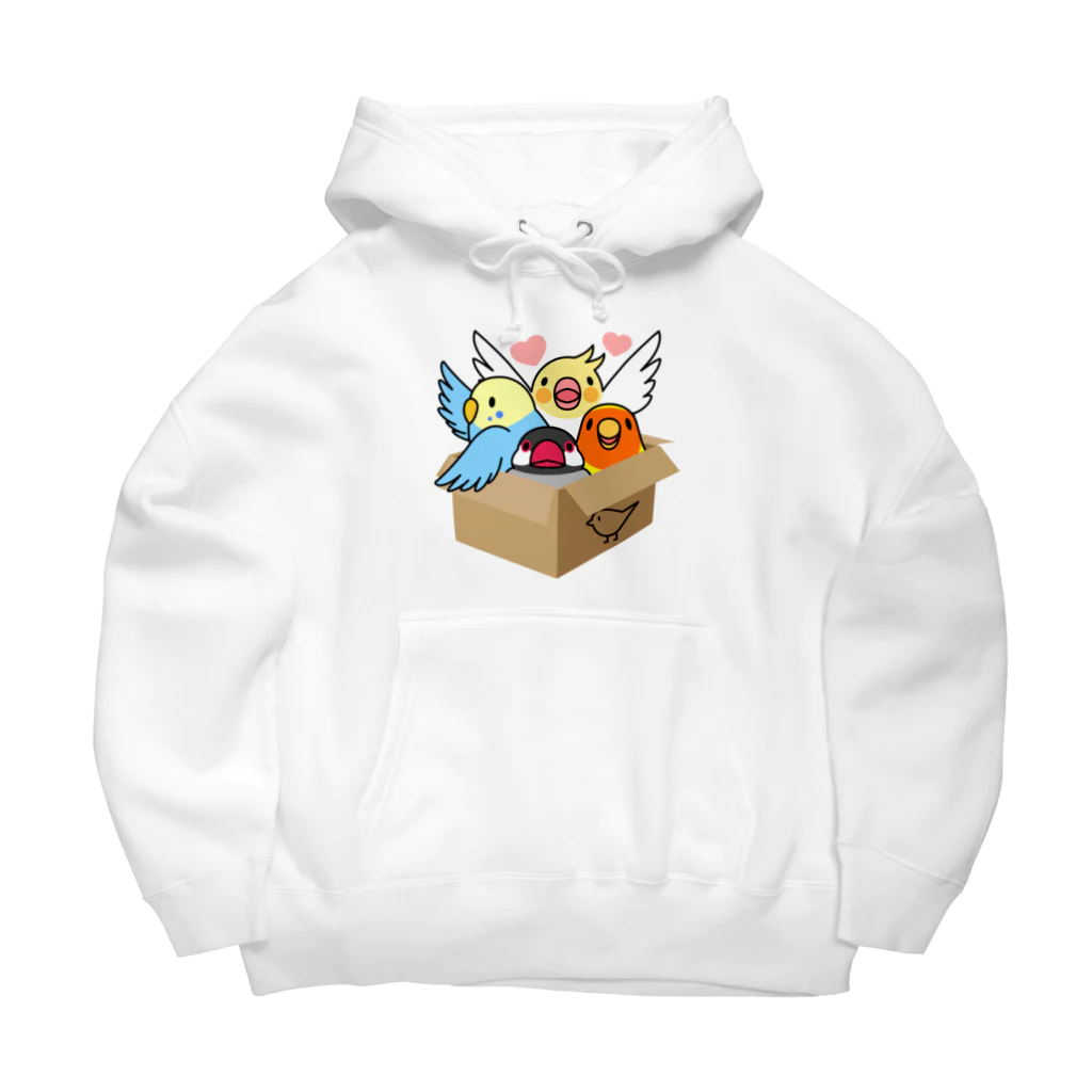 まめるりはことりの拾ってくださいインコ【まめるりはことり】 Big Hoodie