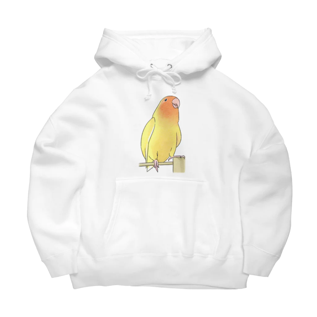 まめるりはことりの得意げ可愛い　コザクラインコちゃん【まめるりはことり】 Big Hoodie