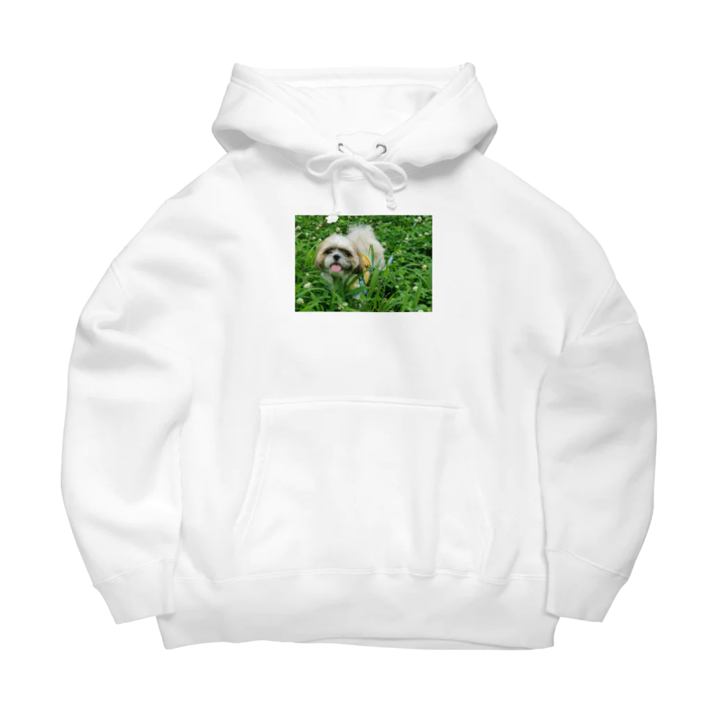 こがちゃんの草原のレオくん Big Hoodie