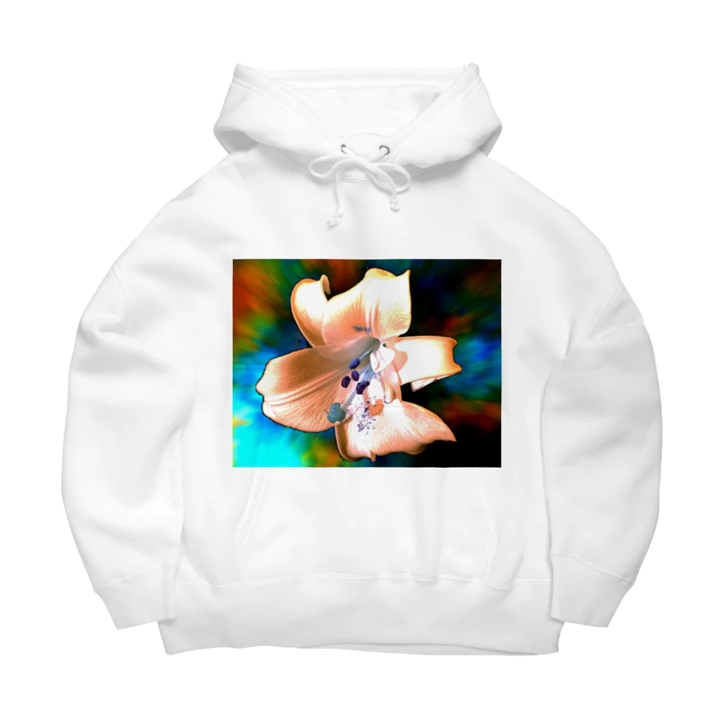 でおきしりぼ子の実験室の宇宙(そら)に咲く花 Big Hoodie