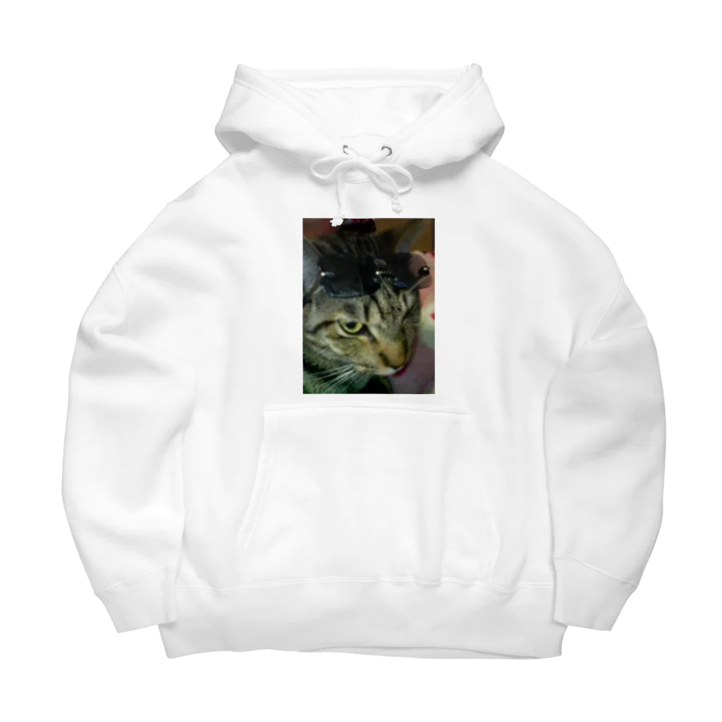 トミーのグラサン猫ハッチ Big Hoodie