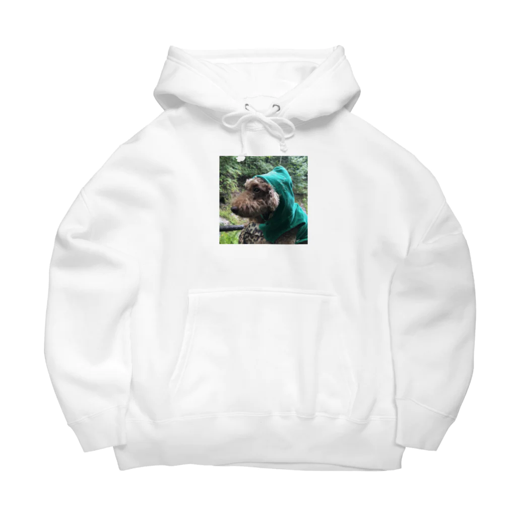 sup犬のドッグ Big Hoodie