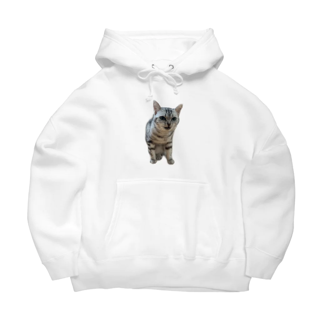 飼い猫のいろは 怒 Big Hoodie