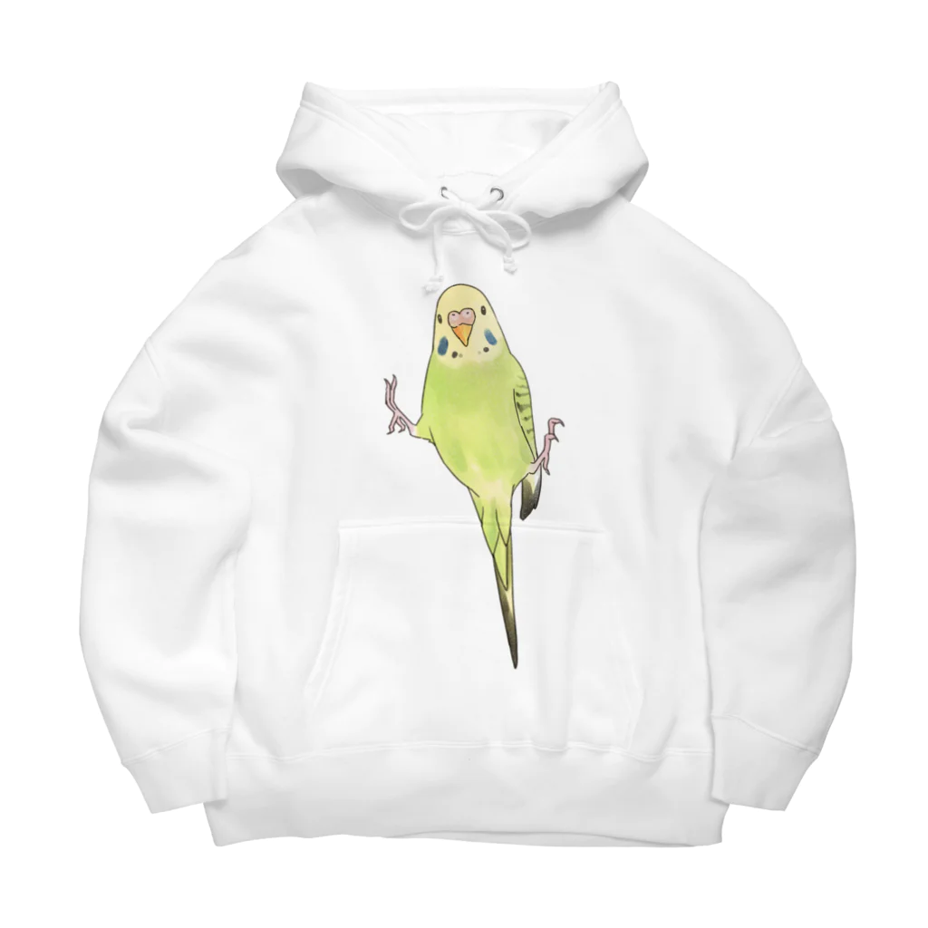 まめるりはことりのピタッとセキセイインコちゃん【まめるりはことり】 Big Hoodie