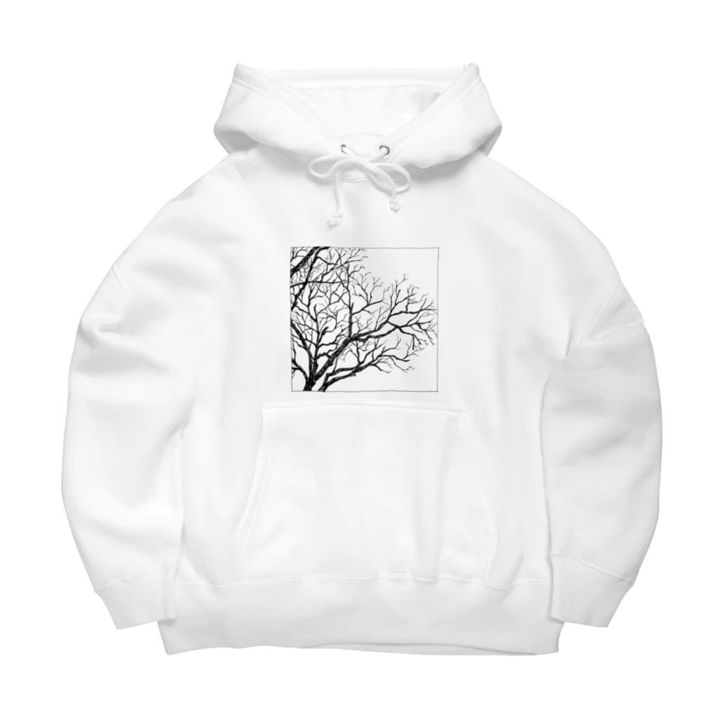 水菜の冬の空 Big Hoodie