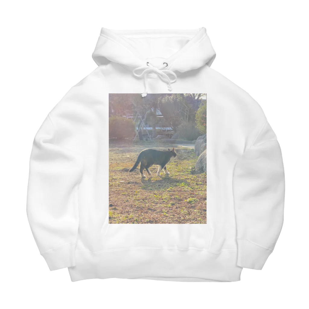 じゃがたらのエモい猫 Big Hoodie