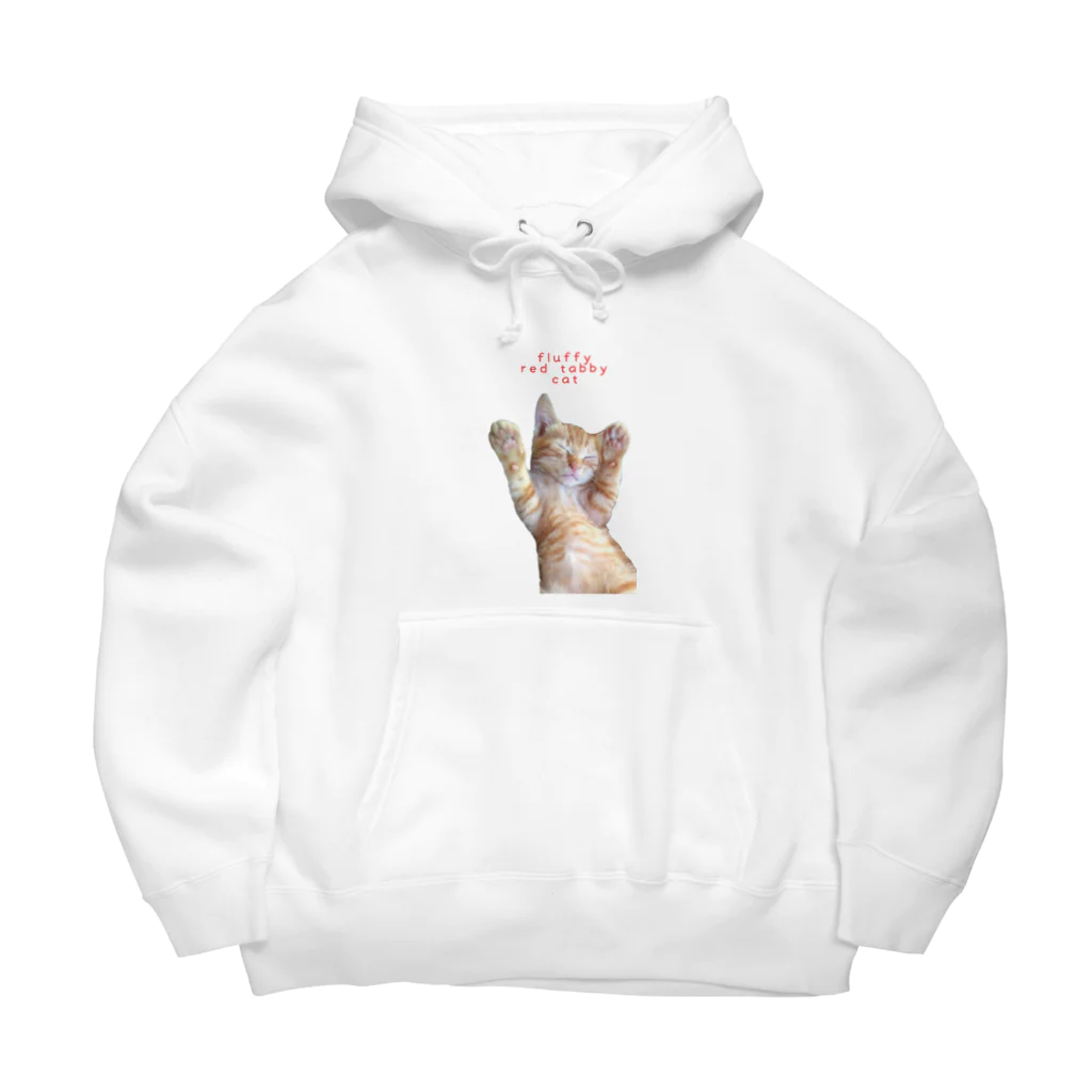 CYA-TO-RAのFluffy red tabby cat Big Hoodie