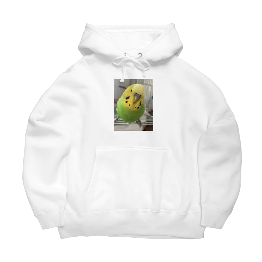 セキセイインコのきぃちゃんshopのセキセイインコ1 Big Hoodie