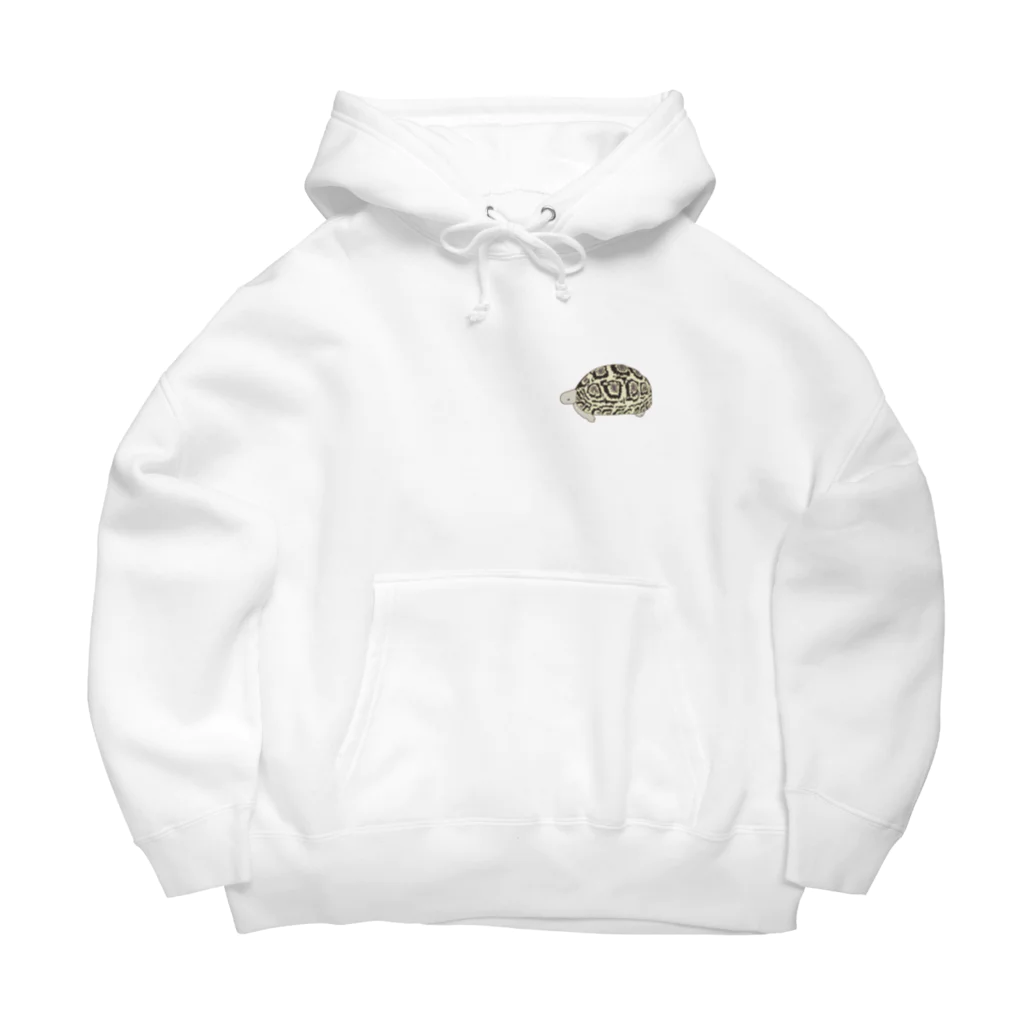 puikkoのリクガメ　ヒョウモンガメ（ワンポイント） Big Hoodie