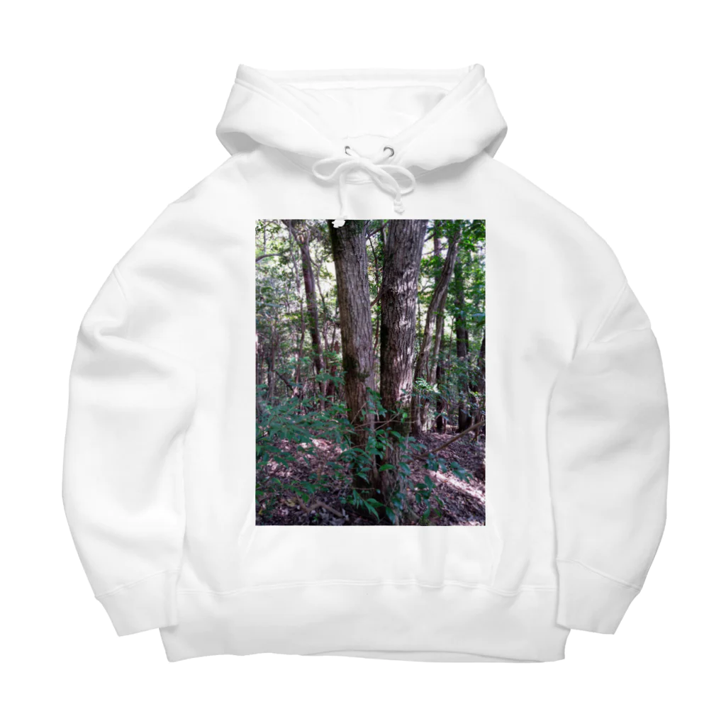 墓のガチの山 Big Hoodie