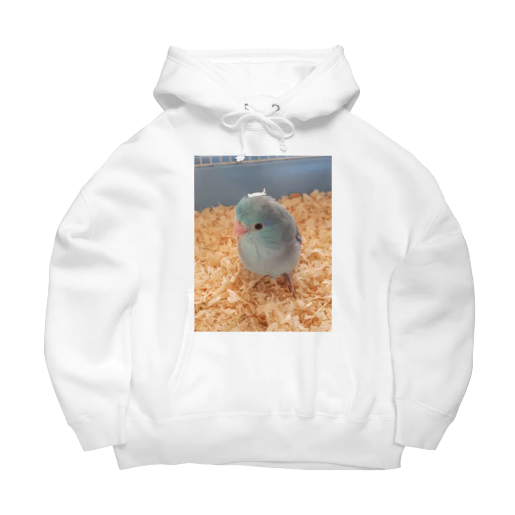 向日葵SHOPのマメルリハのブルーちゃん🐦 Big Hoodie