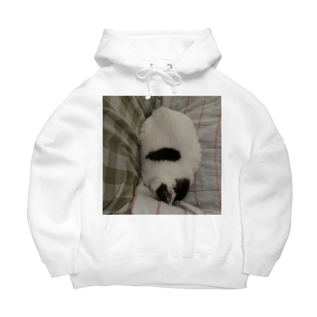 ミーの飼い主まるかのもっちもちなミー Big Hoodie