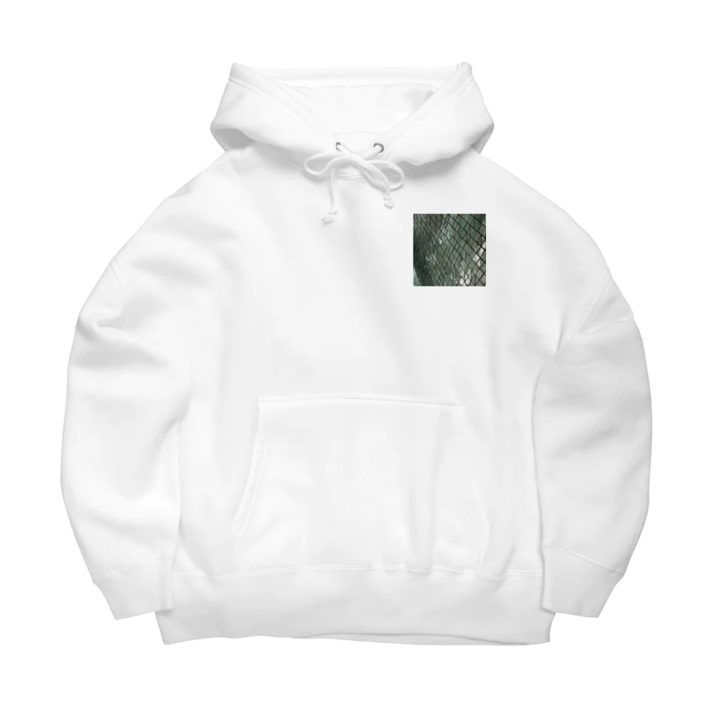 リューカデンドロンのタイル Big Hoodie