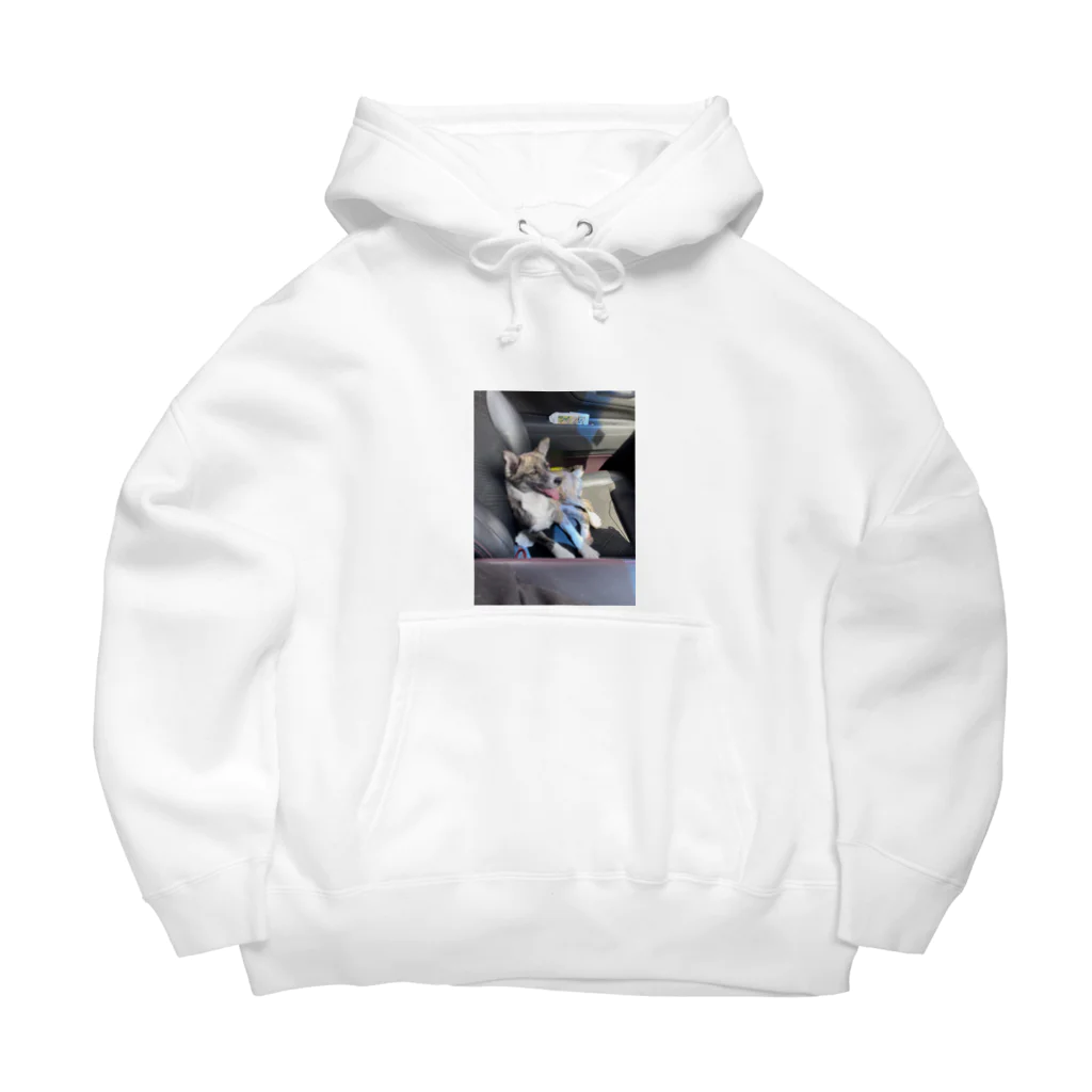 🌺琉球犬MIXららりり🐕の🌺琉球犬柄りり🐶 Big Hoodie