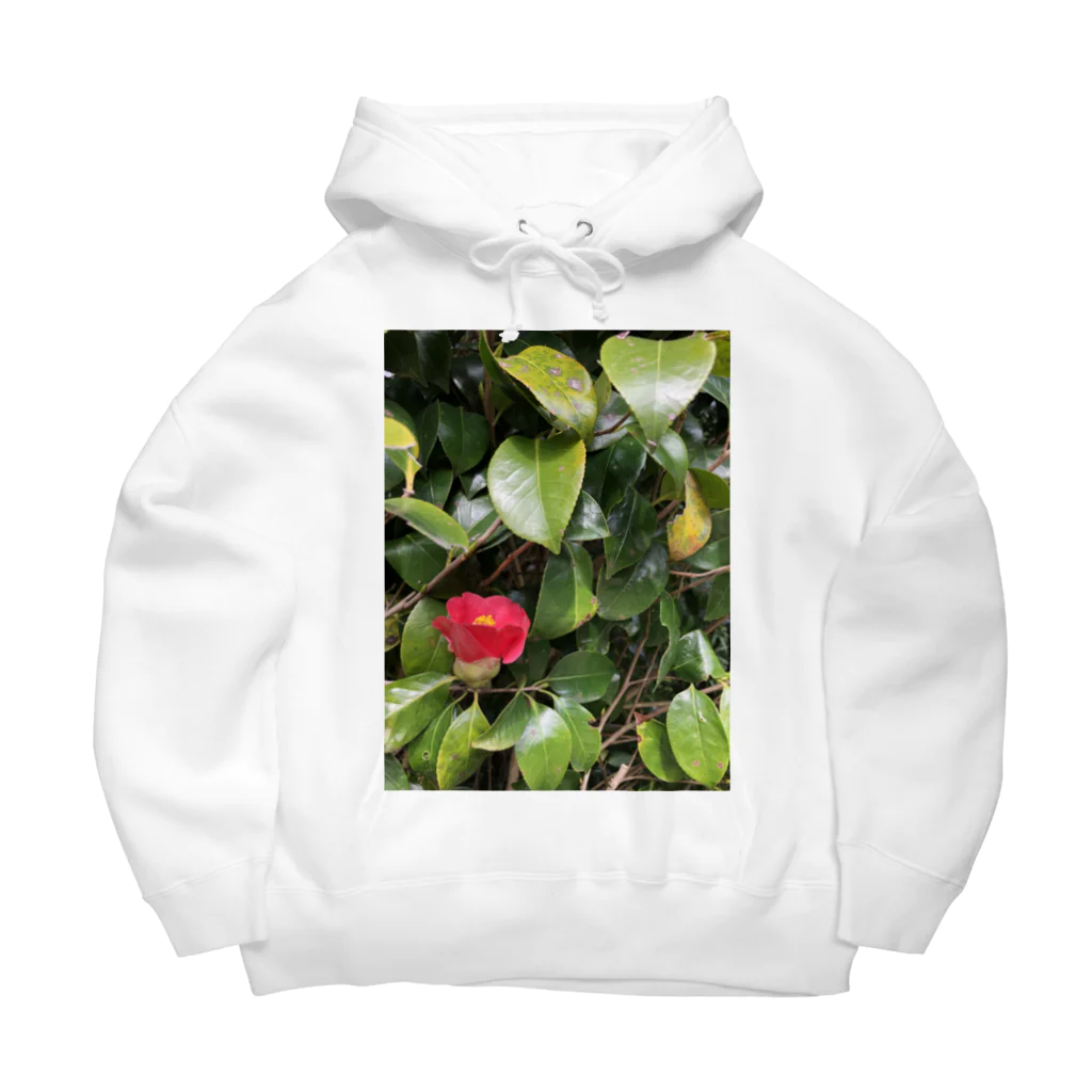 メロ吉❤️の神社の花 Big Hoodie