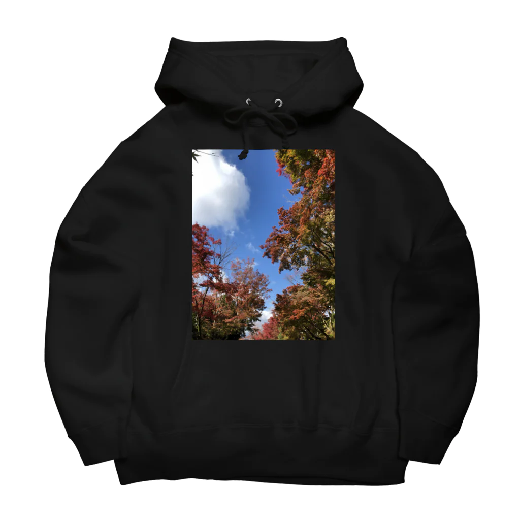 スケルトンの秋の景色 Big Hoodie