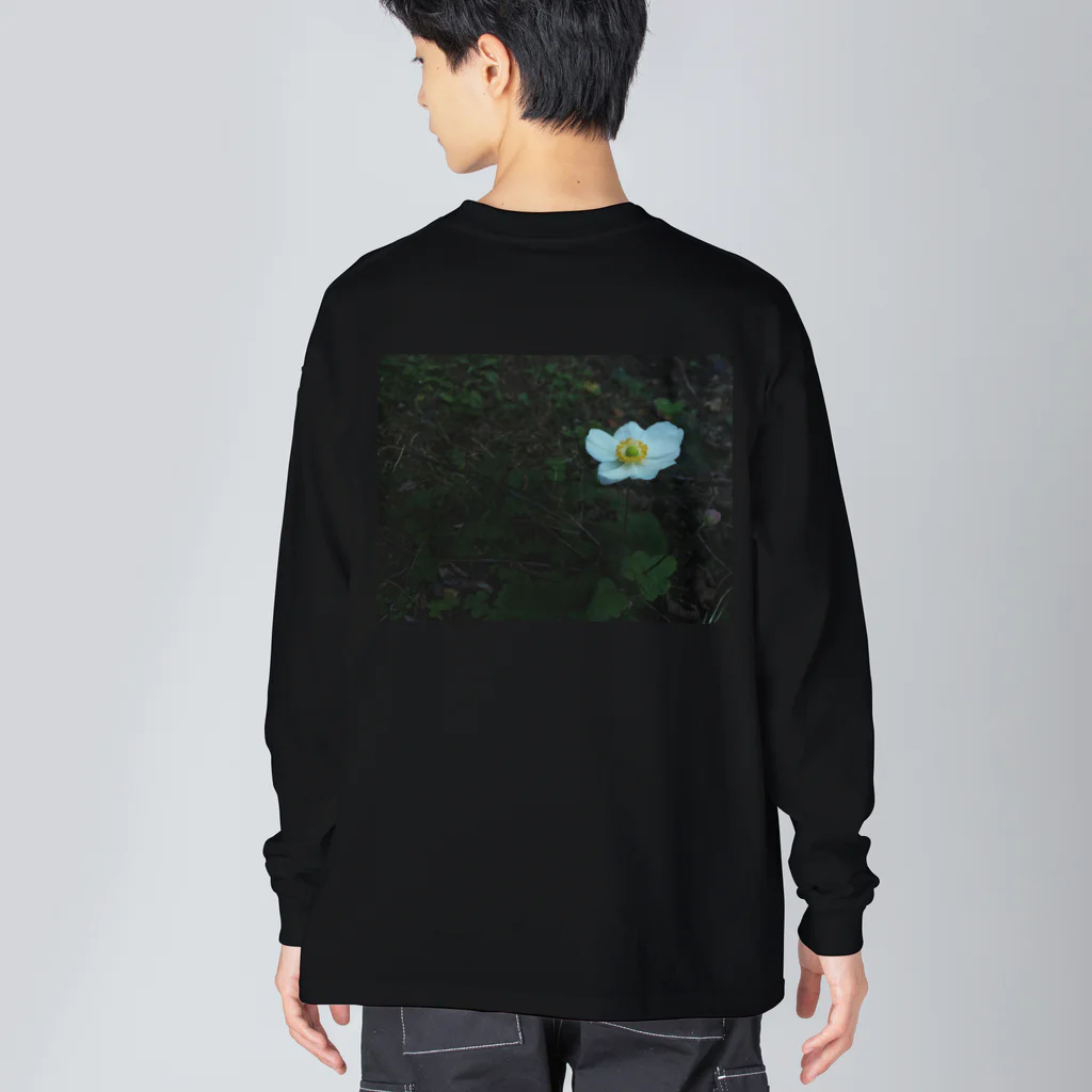 道の草の花と蕾 Big Long Sleeve T-Shirt