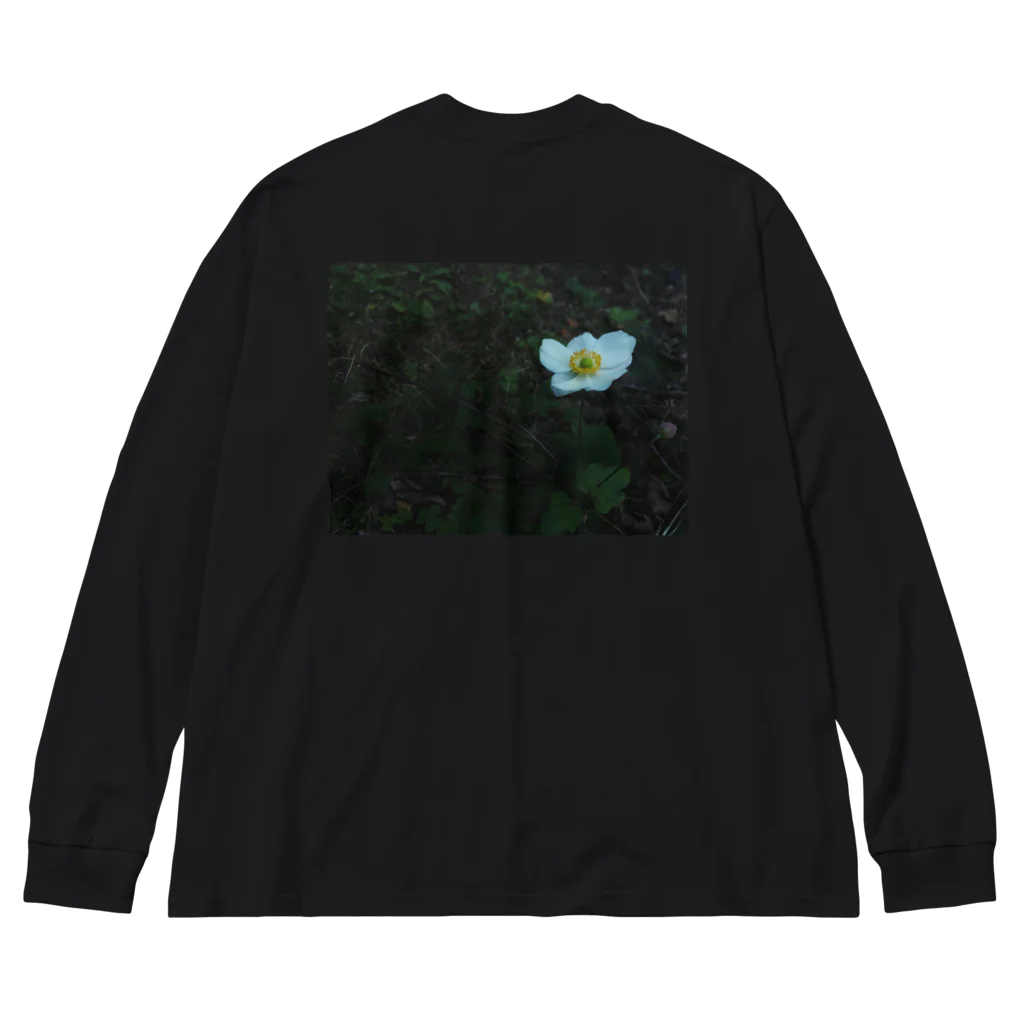 道の草の花と蕾 Big Long Sleeve T-Shirt