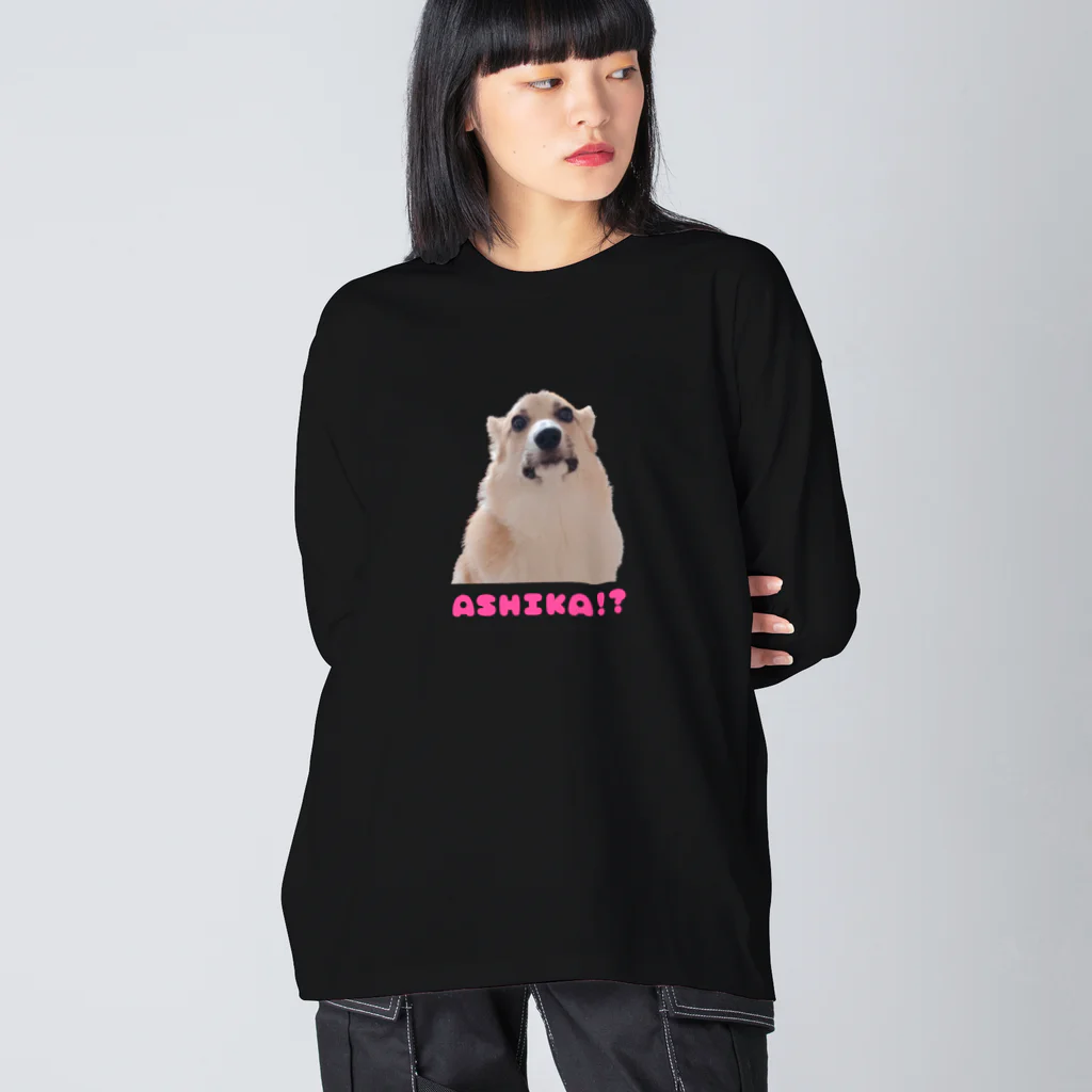 アシカイヌのアシカイヌTシャツ Big Long Sleeve T-Shirt