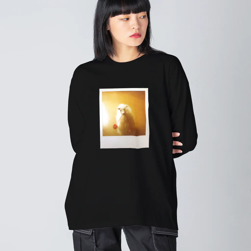 わらしゃんどのポラロイド写真（アルパカ） Big Long Sleeve T-Shirt