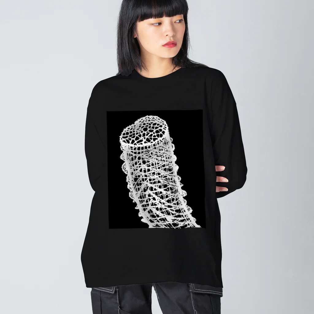 みずいちのカイロウドウケツ Big Long Sleeve T-Shirt