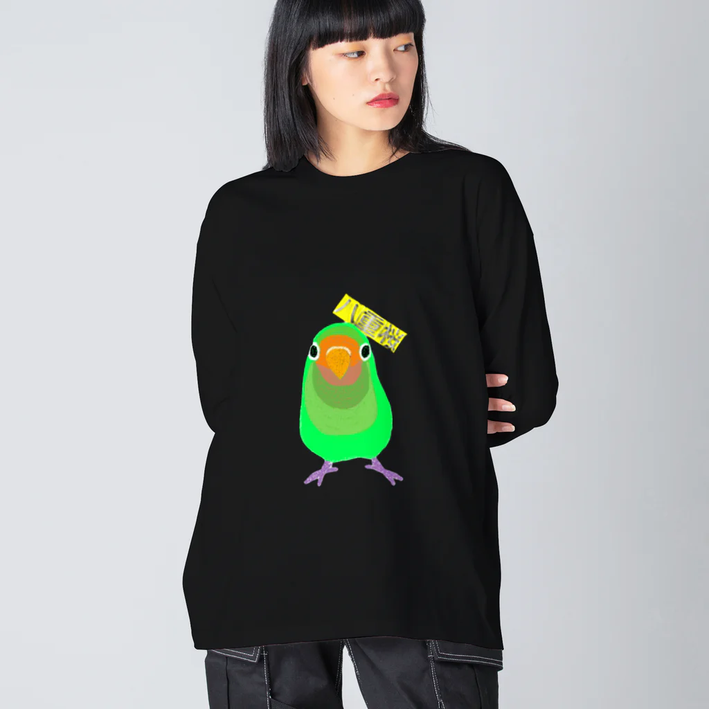 鳥の巣のヤエザクラインコさん ビッグシルエットロングスリーブTシャツ