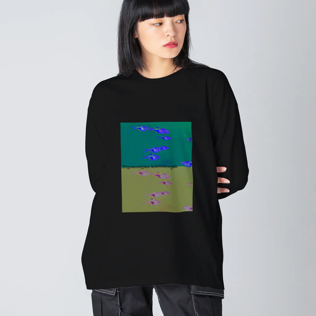 hikuriのラスボラ.・ヘテロモルファ Big Long Sleeve T-Shirt