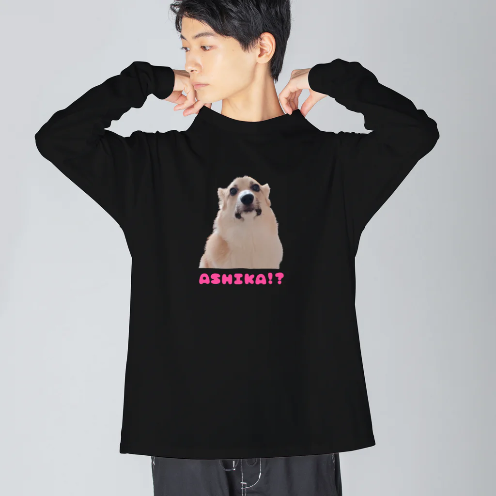 アシカイヌのアシカイヌTシャツ Big Long Sleeve T-Shirt