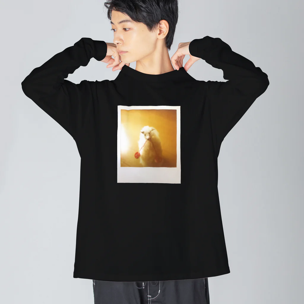 わらしゃんどのポラロイド写真（アルパカ） Big Long Sleeve T-Shirt