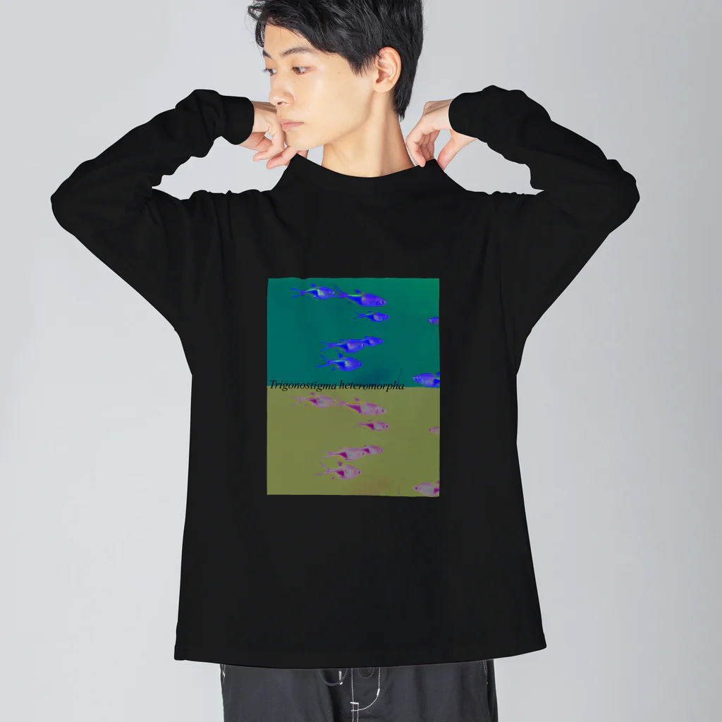 hikuriのラスボラ.・ヘテロモルファ Big Long Sleeve T-Shirt