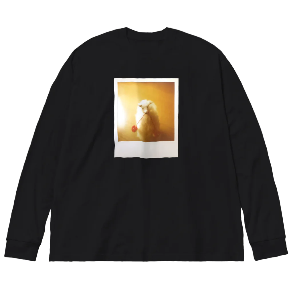 わらしゃんどのポラロイド写真（アルパカ） Big Long Sleeve T-Shirt