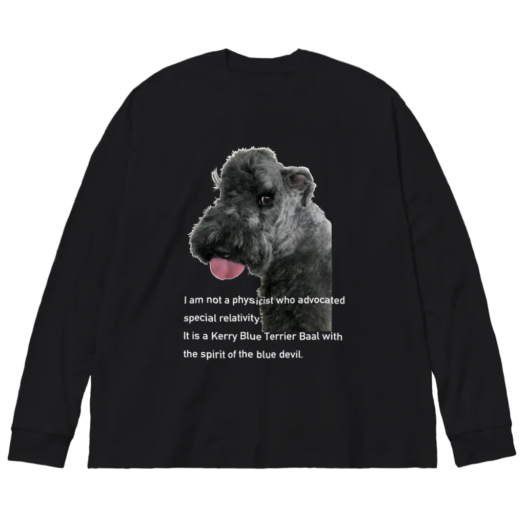 mam-willowの犬　おもしろ写真　バル坊 ビッグシルエットロングスリーブTシャツ