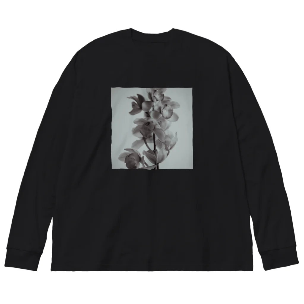 manimaniumの命の標本 Big Long Sleeve T-Shirt