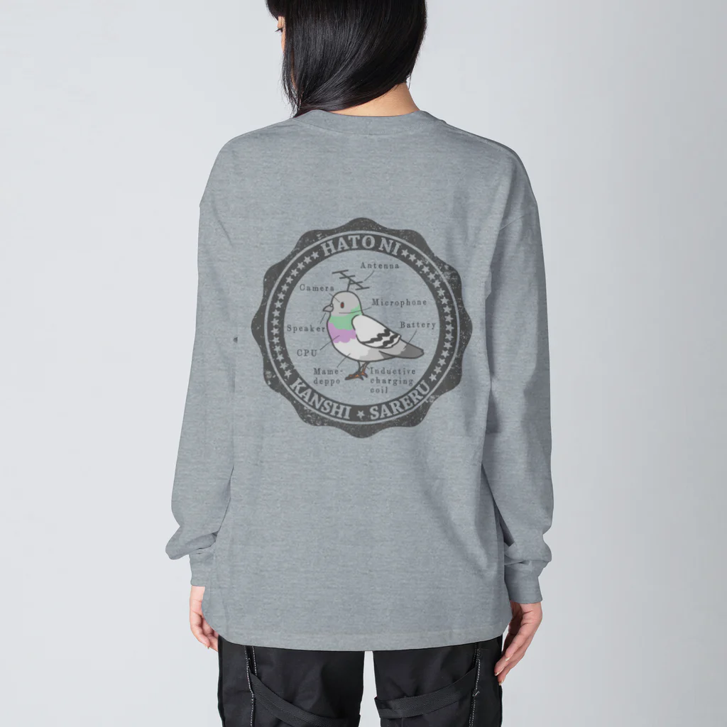 陰謀論かわいいのHATO NI KANSHI SARERU 公園にいるやつver. Big Long Sleeve T-Shirt