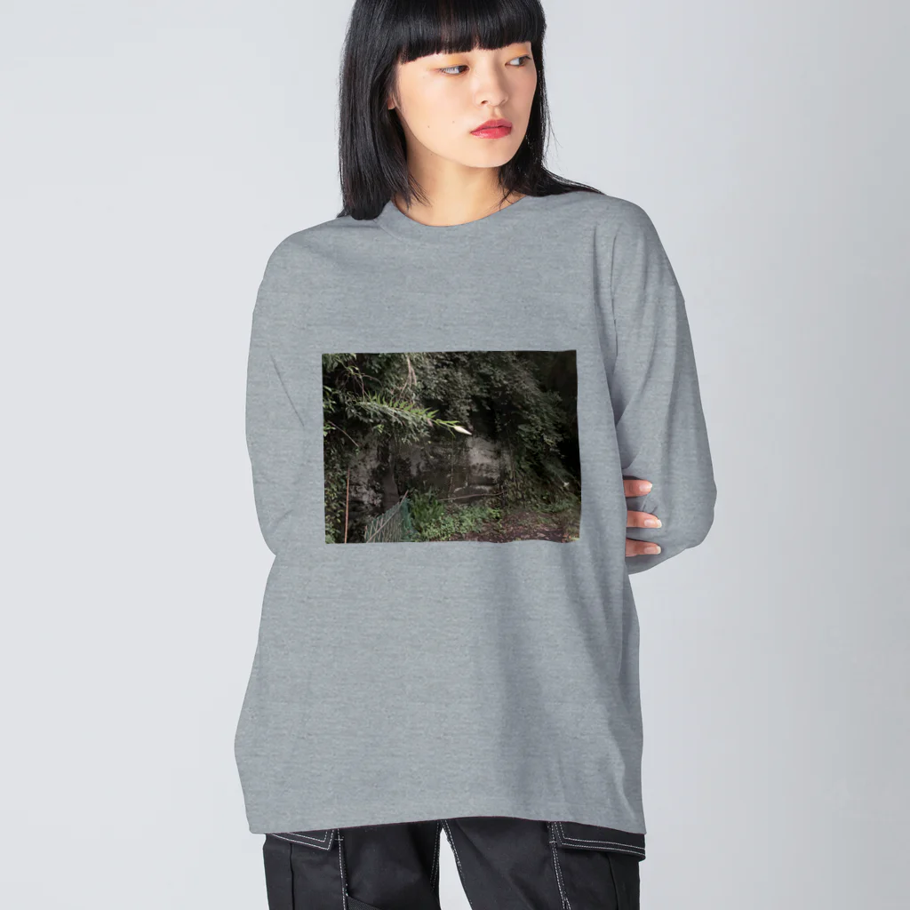 知真/洞田の山百合の蕾フォト Big Long Sleeve T-Shirt