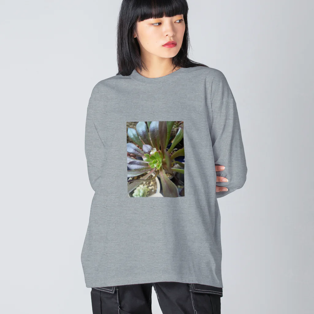 ミクロの多肉植物の黒法師 Big Long Sleeve T-Shirt