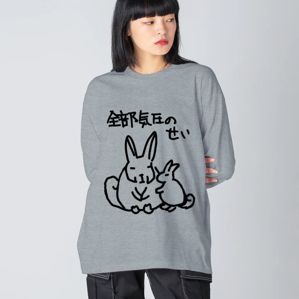 ミナミコアリクイ【のの】の全部気圧のせい【ヤマビスカッチャ】 Big Long Sleeve T-Shirt