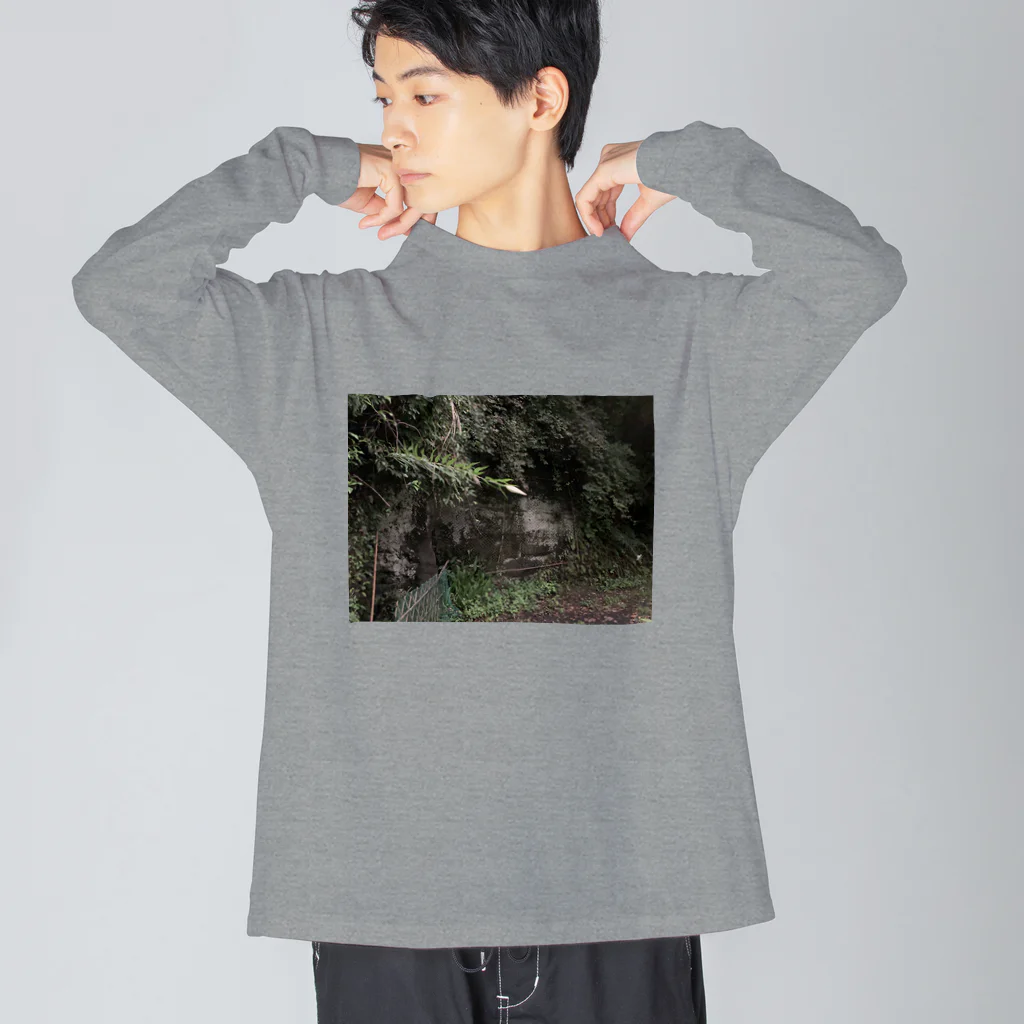 知真/洞田の山百合の蕾フォト Big Long Sleeve T-Shirt