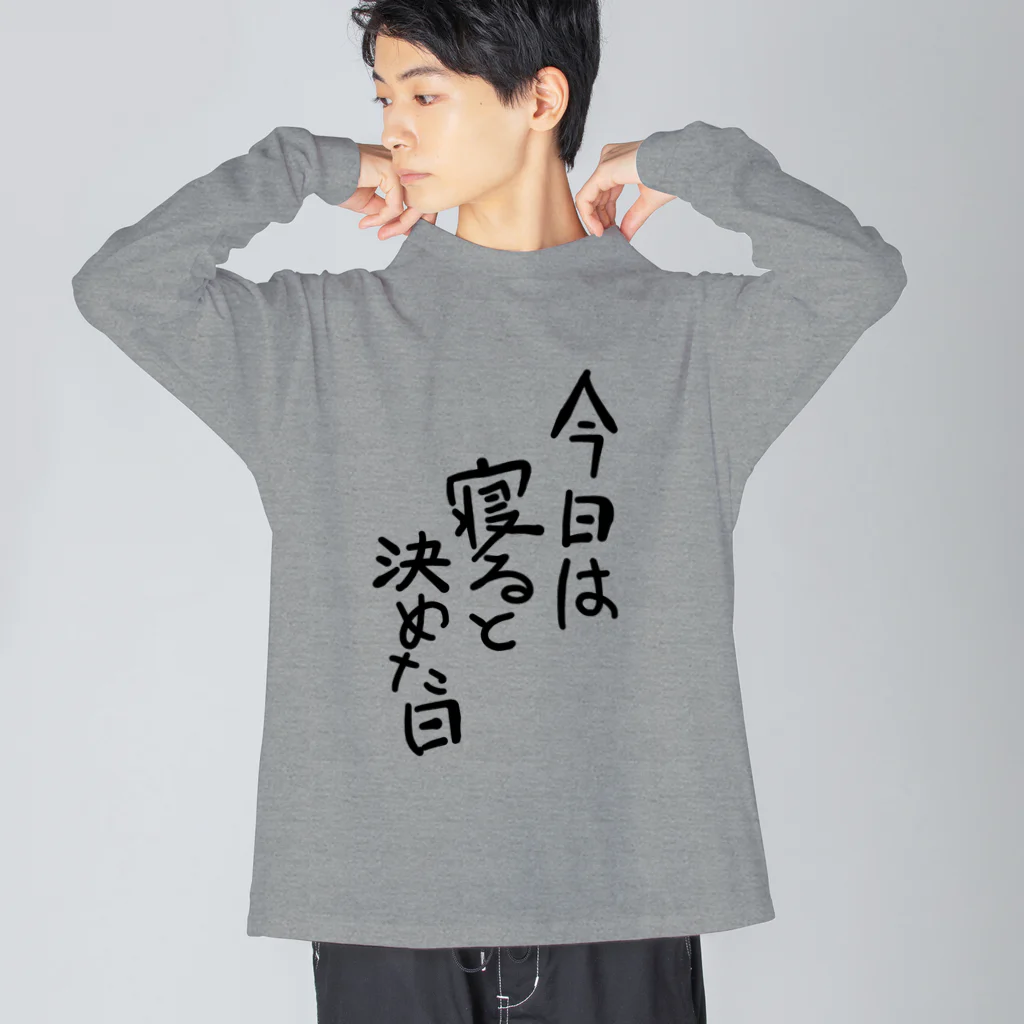 豚猫の今日は寝ると決めた日 Big Long Sleeve T-Shirt