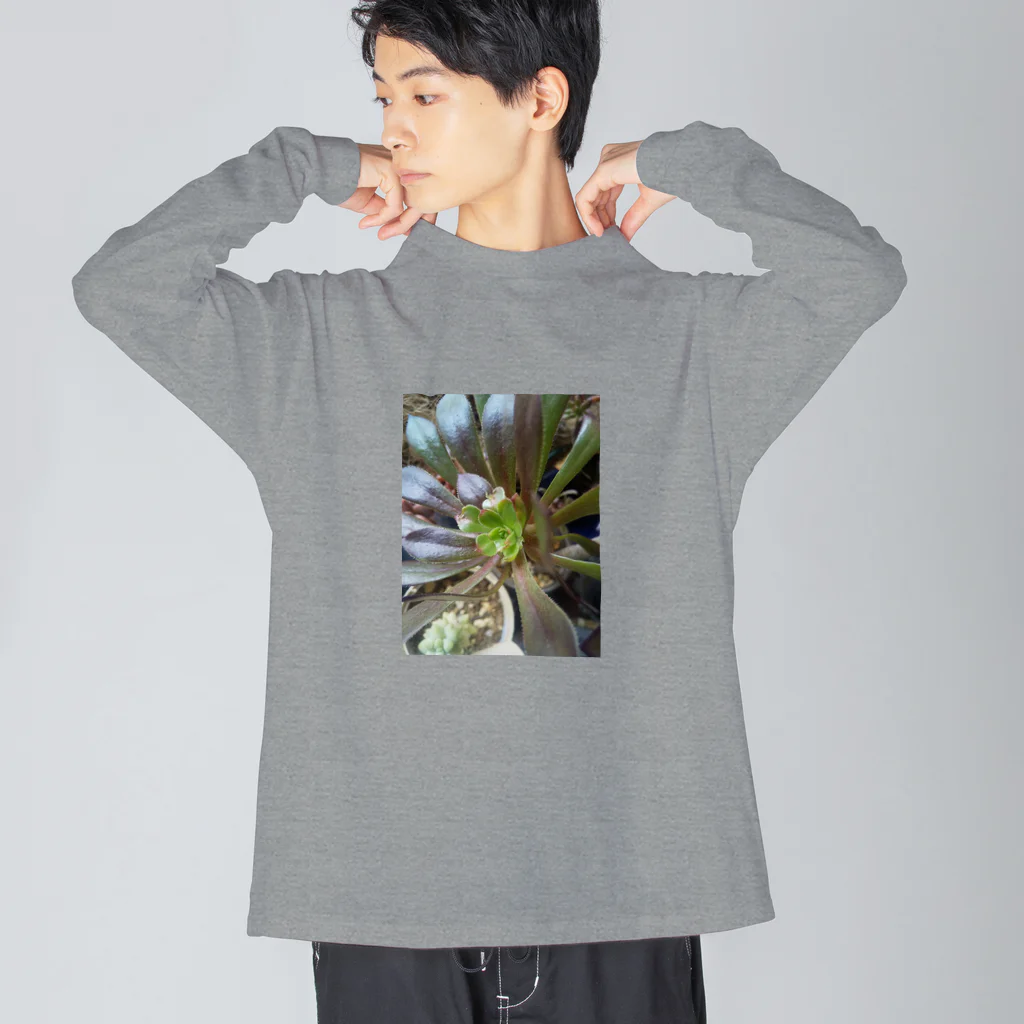 ミクロの多肉植物の黒法師 Big Long Sleeve T-Shirt