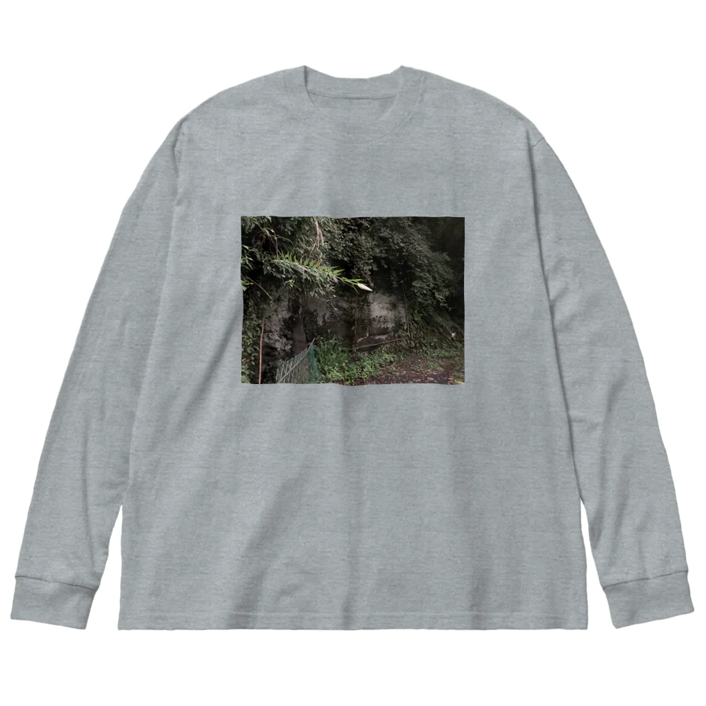 知真/洞田の山百合の蕾フォト Big Long Sleeve T-Shirt