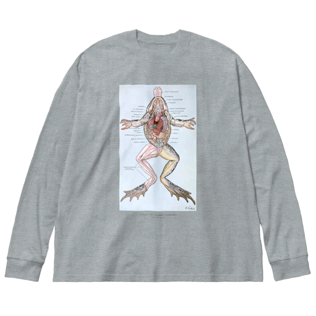 Rubbishのカエルの解剖 ビッグシルエットロングスリーブTシャツ