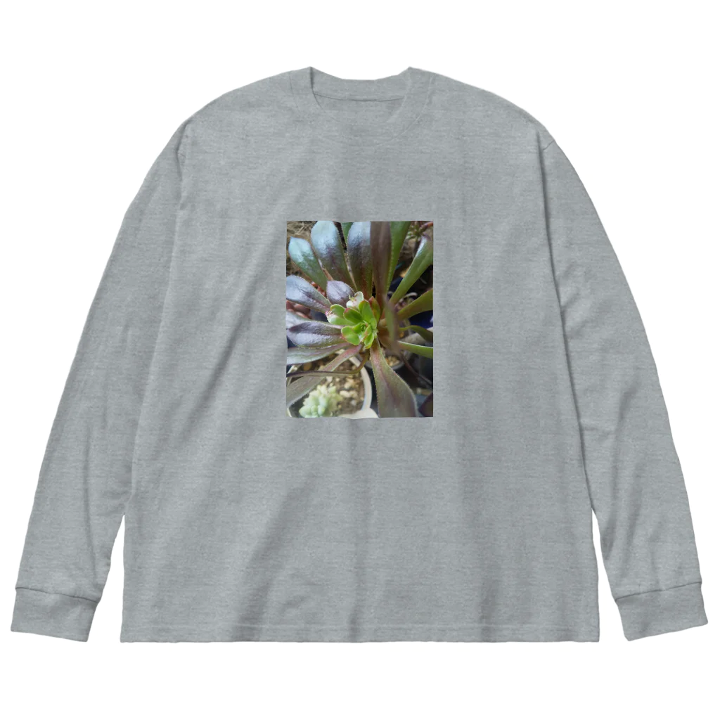 ミクロの多肉植物の黒法師 Big Long Sleeve T-Shirt