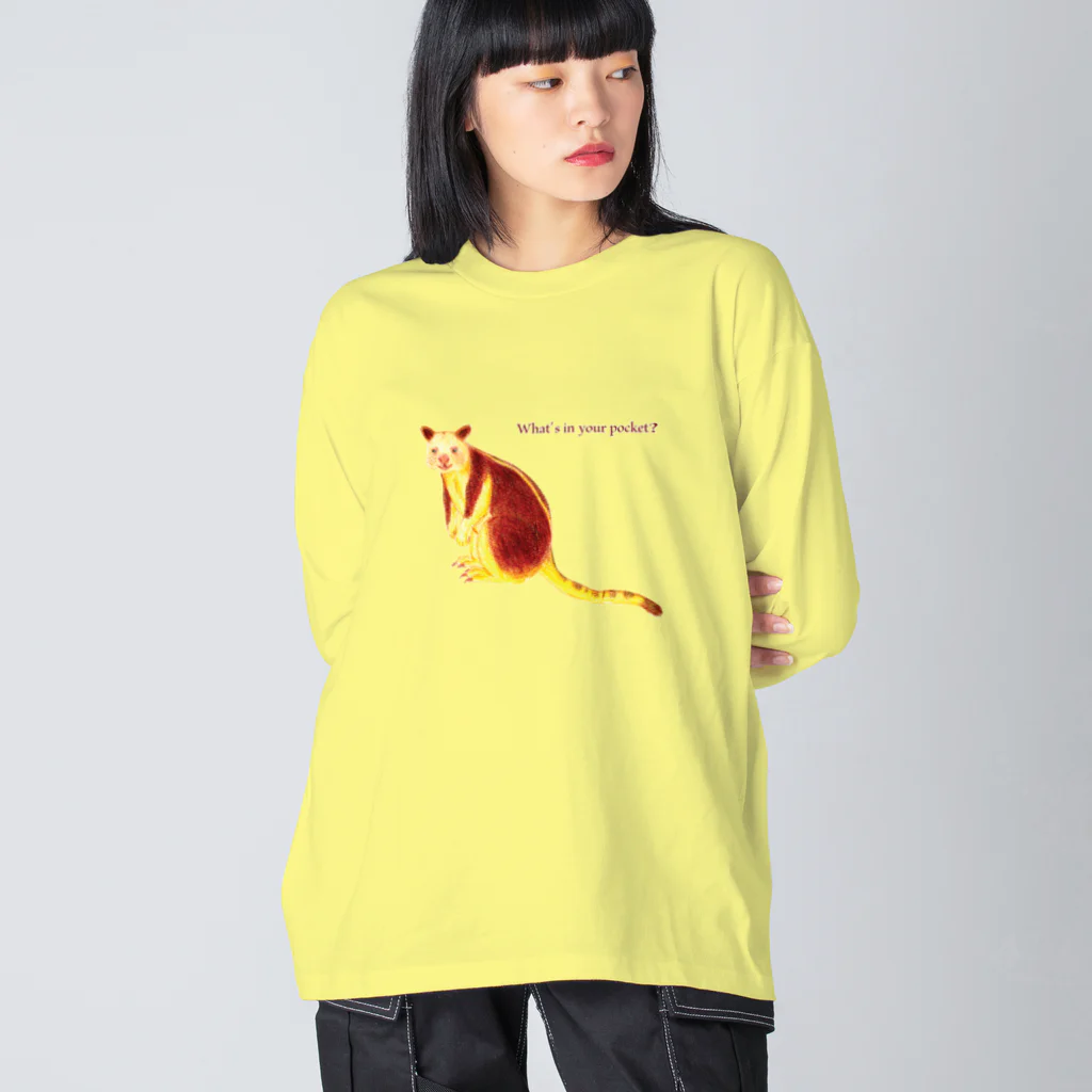 ぎんぺーのしっぽのぽけっとのなかには？ Big Long Sleeve T-Shirt