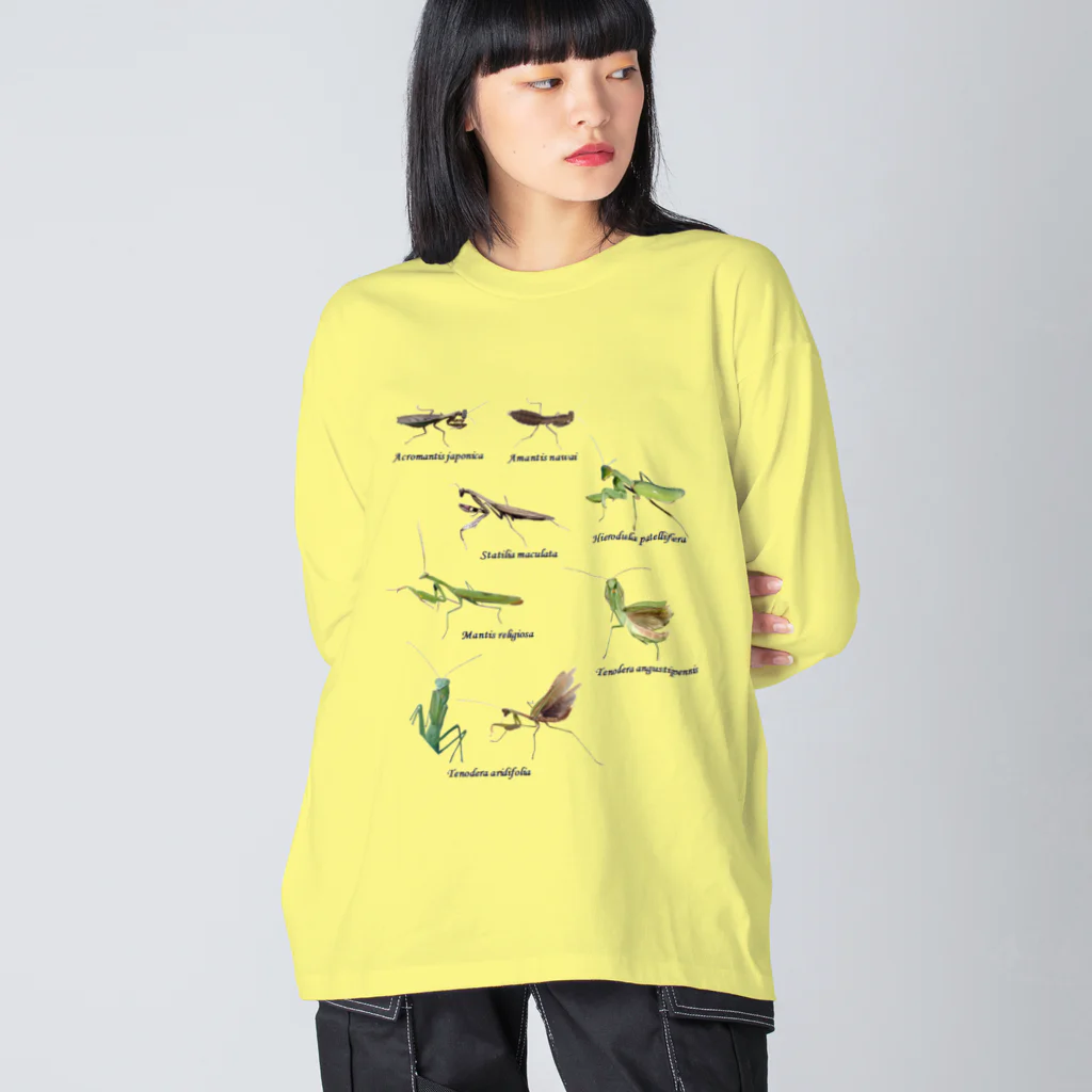 L_arctoaの関東のカマキリ（旧学名・非推奨）（背景透過ver） ビッグシルエットロングスリーブTシャツ