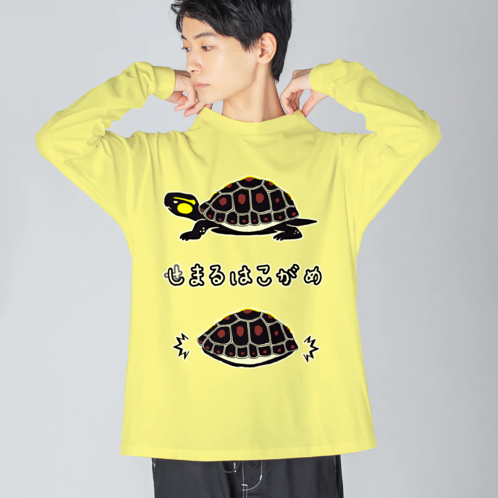 くいなの母のしまるはこがめ Big Long Sleeve T-Shirt