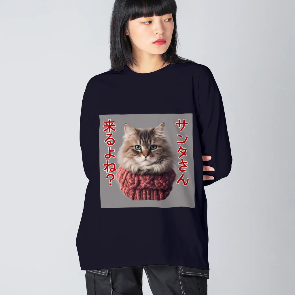 てくのちゃんのサンタを信じてる猫 Big Long Sleeve T-Shirt