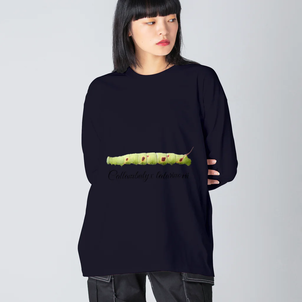 L_arctoaのウンモンスズメ幼虫と成虫 Big Long Sleeve T-Shirt